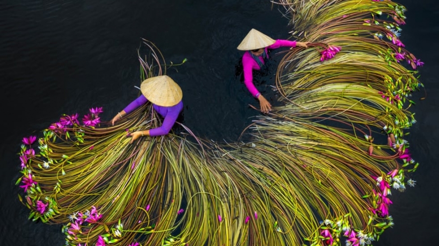 Stunning images of Vietnam from above make int’l photo awards